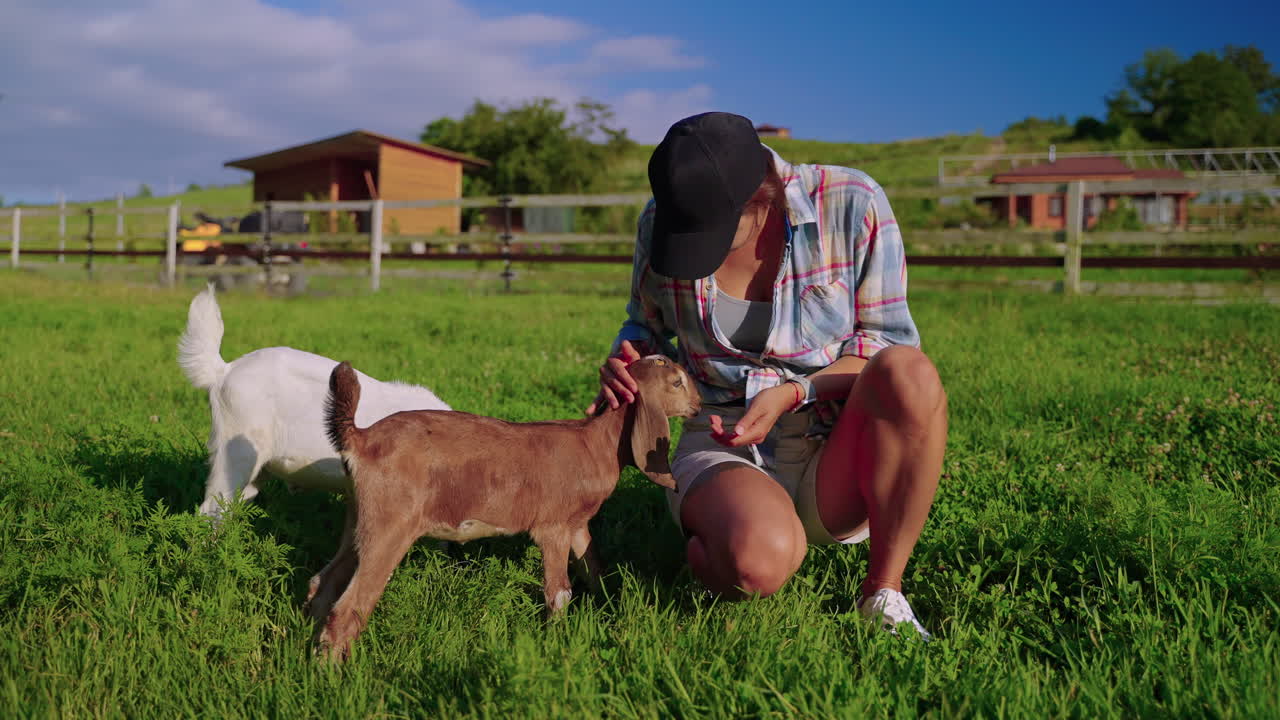 농장 에서 어린 염소 들 과 상호 작용 하는 여자