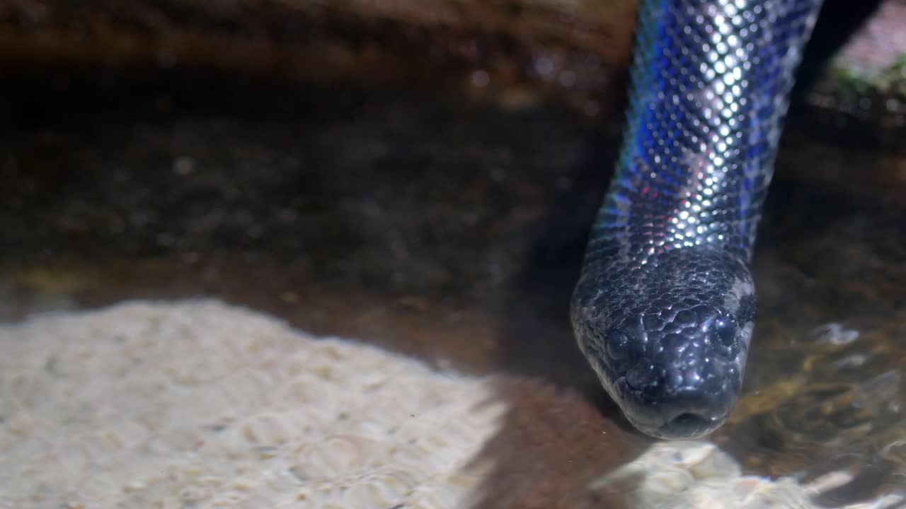 파란색과 검은색의 의 클로즈업