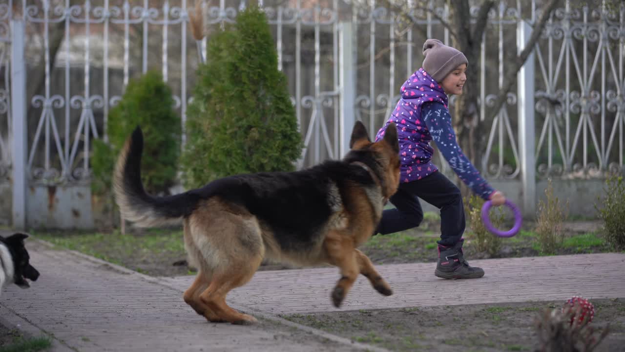 마을에 개를 데리고 있는 불쌍한 어린 소녀