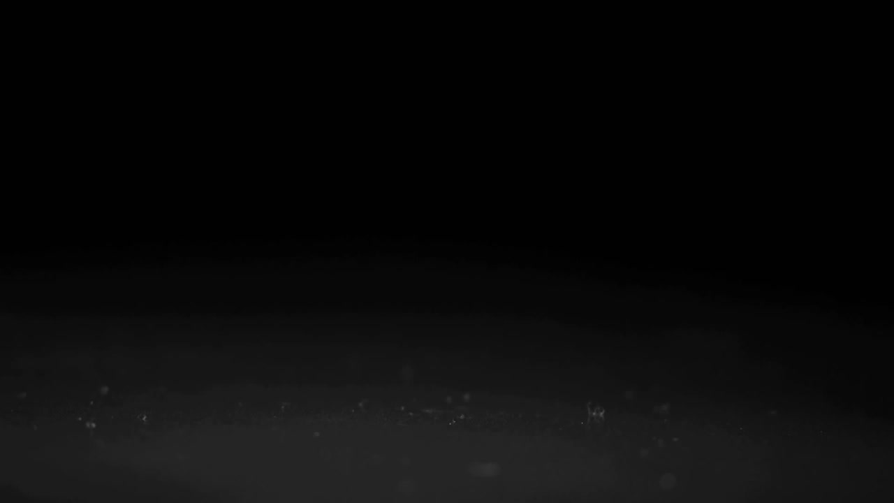 Black die appearing above reflective surface, tumbling through wireframe brain and syncing waveform