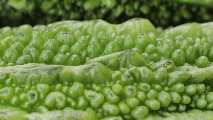 Close-up view of Bitter Melon
