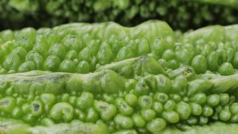 close-up view of bitter melon