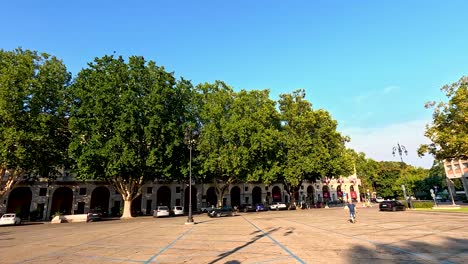 people walking in a tree-lined park