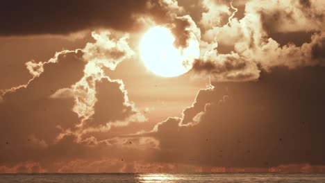 sol en las nubes con siluetas de pájaros volando en la distancia por el agua del océano