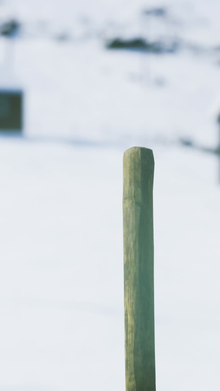 Pilastro di legno isolato che si erge solitario in un campo aperto e ghiacciato