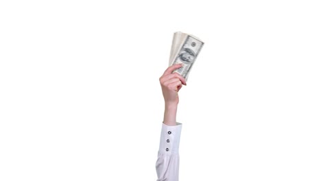 dinero, dinero en efectivo. animación gif. primer plano. mano femenina, en blusa blanca, sostiene un paquete de billetes de cien dólares, lo agita. aislado en fondo blanco. patrón sin costuras en bucle. animación