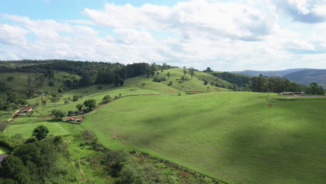hermosa vista panorámica aérea escénica de la campiña ondulada, campos de cultivo verdes y bosques