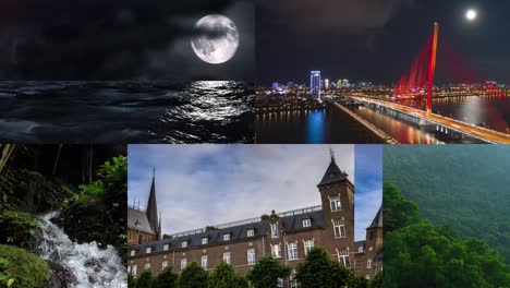 collection of landscapes and wildlife