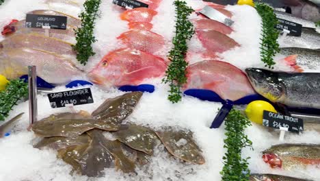 variety of seafood on ice at market