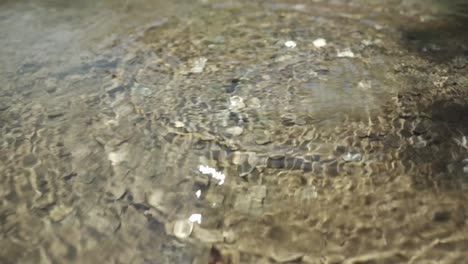 throwing in some coins while making a wish in the clear mineral spring waters of st