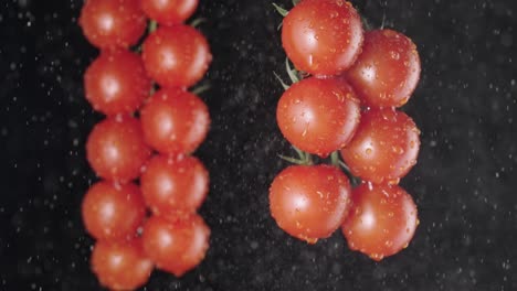 Fresh Cherry Tomatoes with Water Droplets