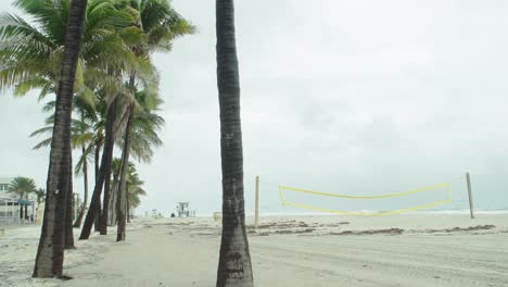 tormenta tropical, palmeras en la playa vacía en un día ventoso y lluvioso