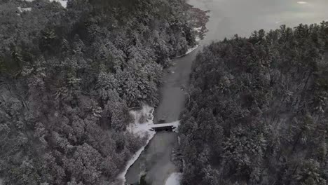 aerial-fresh-snow-covered-trees-by-river