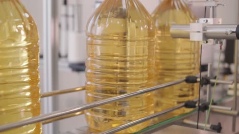 sunflower oil in the bottle moving on production line. bottling line of sunflower oil in bottles. vegetable oil production plant. high technology. industrial background