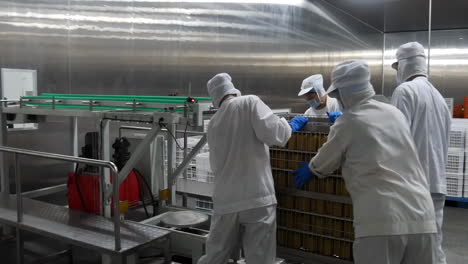 workers team in a busy factory meticulously handle vibrant food bottles, placing them in cardboard boxes. the soft industrial lighting creates a warm ambiance, highlighting the activity taking place