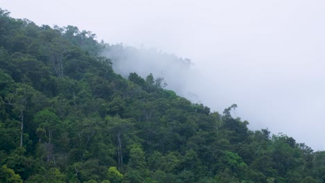 Thick-clouds,-fog-and-mist-lingering-over-tree-canopy-of-dense-rainforest-in-the-outdoor-wilderness-on-a-remote-tropical-island-in-Raja-Ampat,-West-Papua,-Indonesia