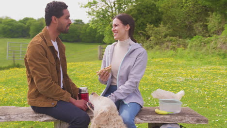 Couple-with-pet-Golden-Retriever-dog-on-walk-in-countryside-sit-on-bench-and-enjoy-picnic-together---shot-in-slow-motion