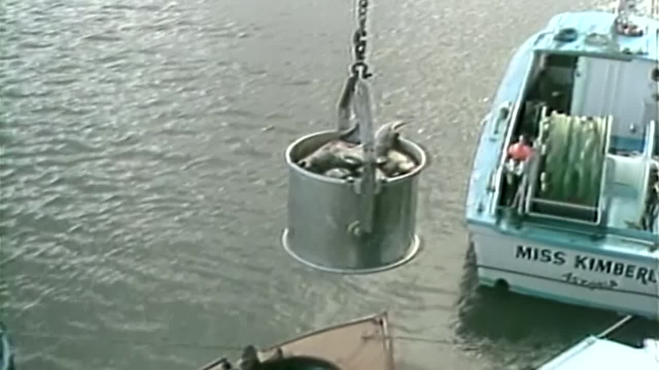 рыболовные лодки 1980-х годов, подтягивающие улов