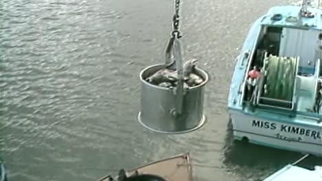 1980-Barcos-De-Pesca-Acarreando-Una-Captura