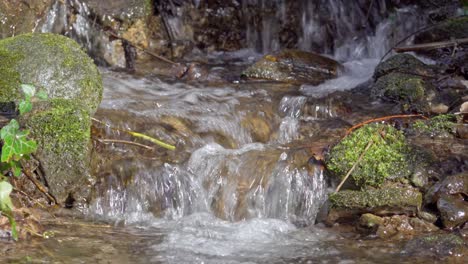 Teil-Eines-Wilden-Kleinen-Baches-Fließt-Durch-Die-Natur,-Umgeben-Von-Steinen