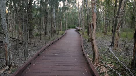 Handheld-wide-shot-Melaleuca-Boadwalk-trail,-Coombabah-Lake-Conservation-Park,-Gold-Coast,-Queensland