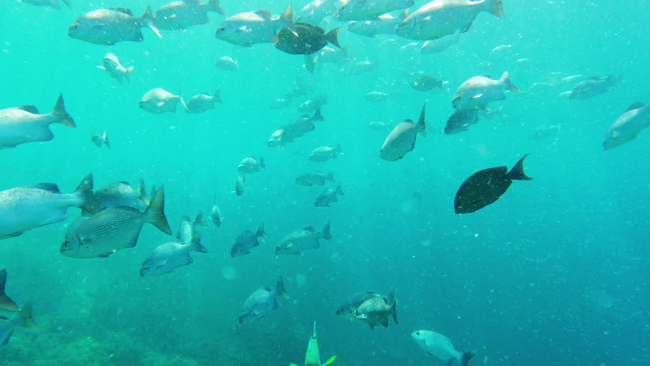 We're all going in the same direction