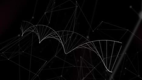 animación digital de la estructura del adn girando contra la red de conexiones en fondo negro