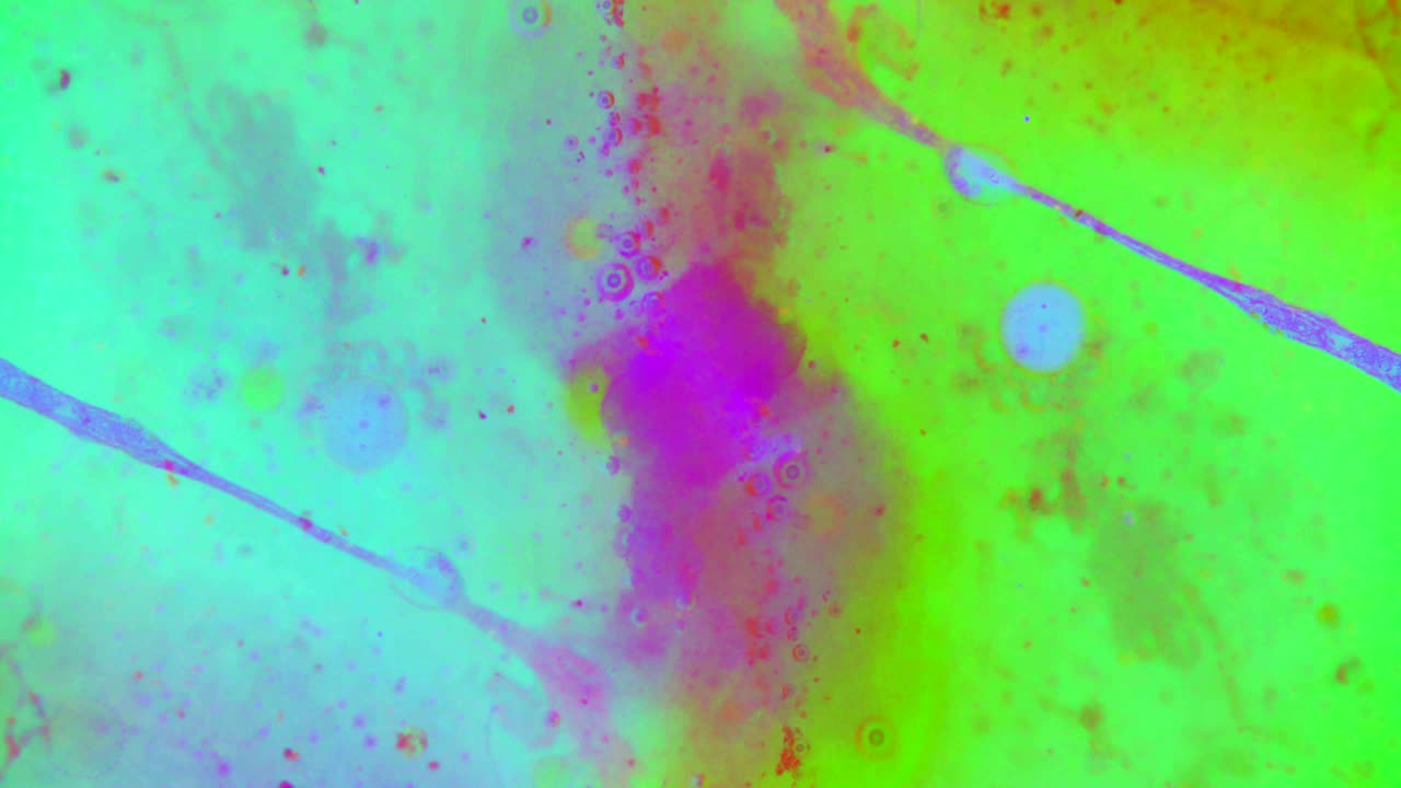 el rizado de las pinturas