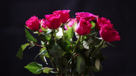 manojo giratorio de flores de rosas rosadas con pétalos húmedos y hojas