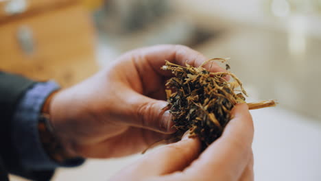 Close up shot of a man&#039;s hands holding aromatic dried spice herbs while checking it