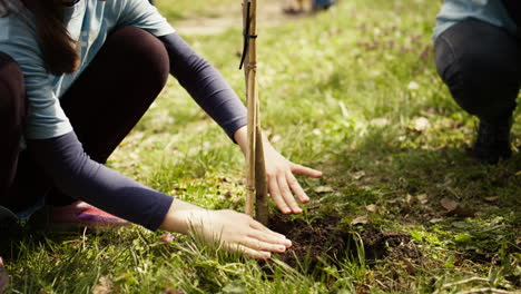 mother and child collaborate on planting trees in the forest.