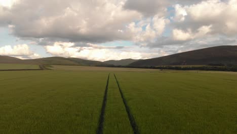 Campos-De-Trigo-En-Las-Colinas-De-Pentland,-Escocia--Vista-Aérea