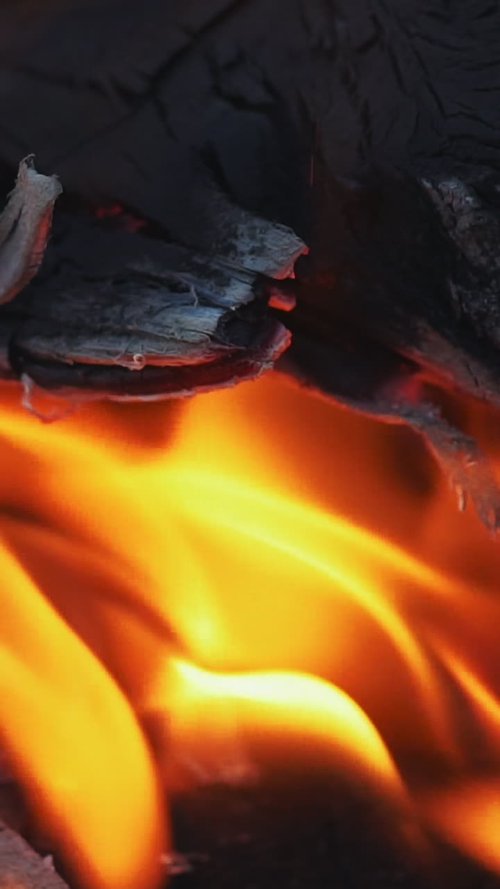 Burning Fire in Slow Motion. Woods fire. Slow motion Vertical video