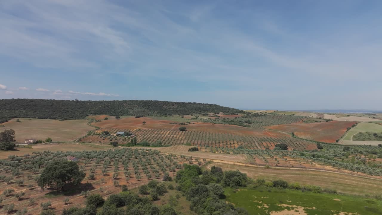 Drone overhead view of various farmlands with olive groves, crop fields, farmhouses, and a wooded hillside, all under a blue sky with scattered clouds, in the province of Toledo