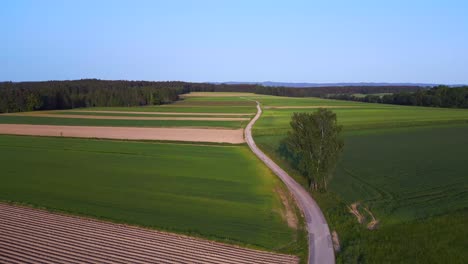 Perfecto-Aéreo-Vista-Superior-Vuelo-árbol-Austria-Europa-Campo-Prado-Carretera-Atardecer-Verano-23