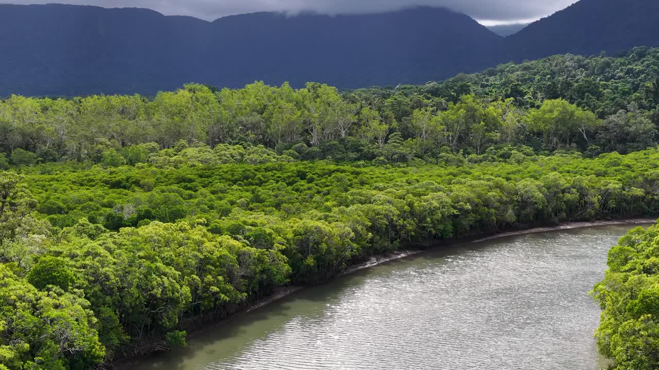 Drone camera glides above a winding river through dense, lush rainforest with dramatic mountain backdrop and overcast skies in Port Douglas, Queensland