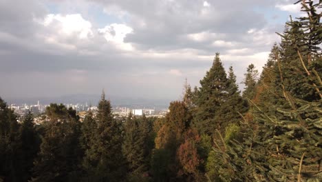 dron que se eleva desde altos árboles verdes revelando un paisaje impresionante de un amplio paisaje urbano, méxico