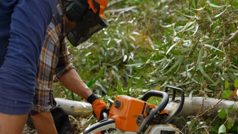 two lumberjacks cutting wooden blog in forest 4k