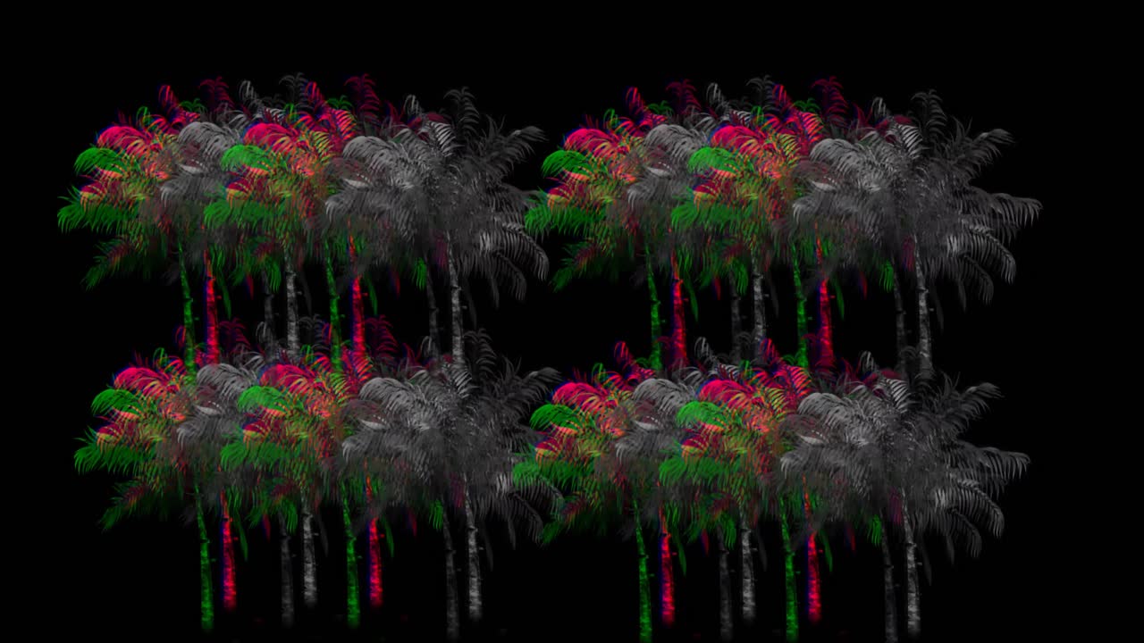 palmeras coloridas y monocromáticas 4k