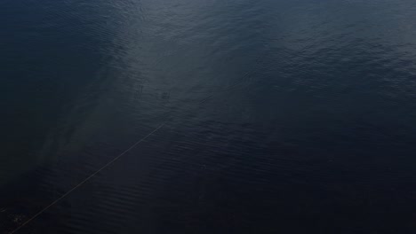 sequence of a fishing rod being cast into a lake