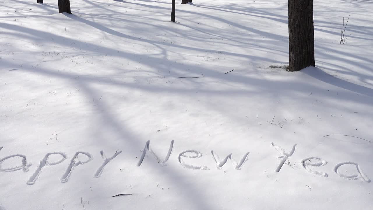 Scritta di buon anno sulla neve. Ripresa in inverno.