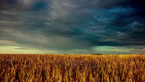 Maisackerland-Im-Zeitraffer,-Während-Sich-Wolken-über-Lettischen-Feldern-In-Einer-Dramatischen,-Stürmischen-Landschaft-Entfalten