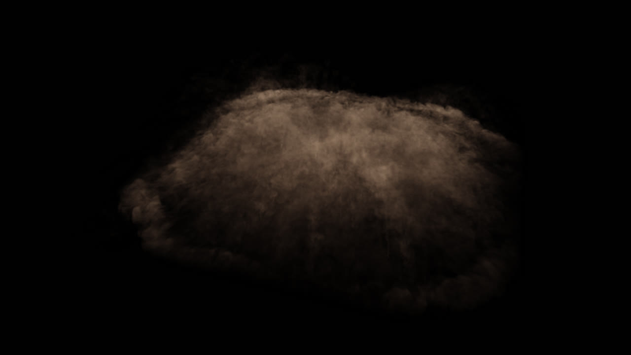 갈색 먼지 폭발