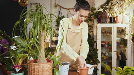 woman working at a flower shop potting plants.