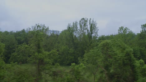 driving plate for green screen: wide window view of meadow and woods - virginia
