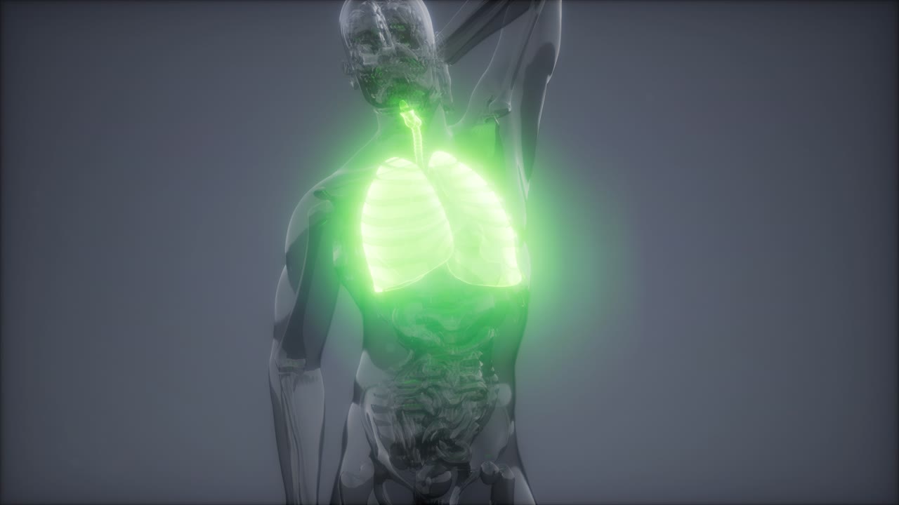 인간의 폐 방사선 검사