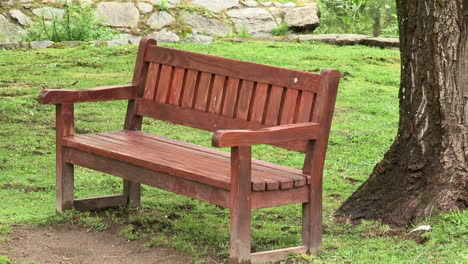 image of a wooden bench in the green park