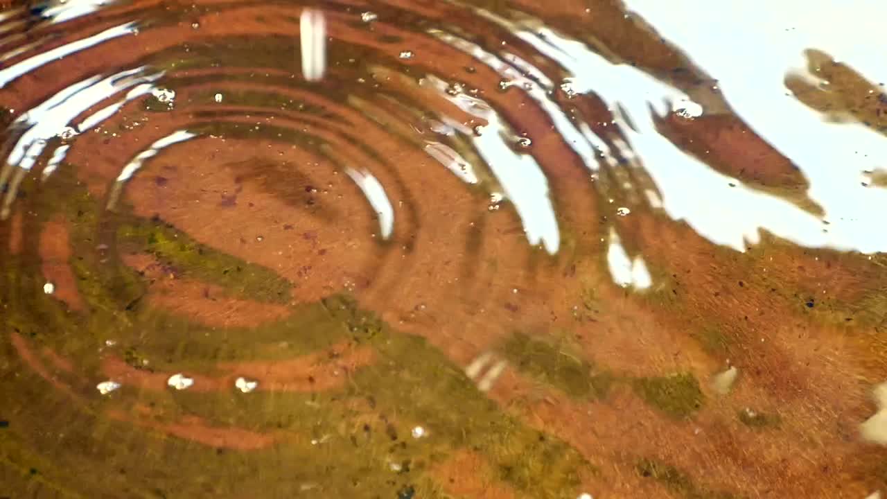 Ondulaciones del agua en un estanque