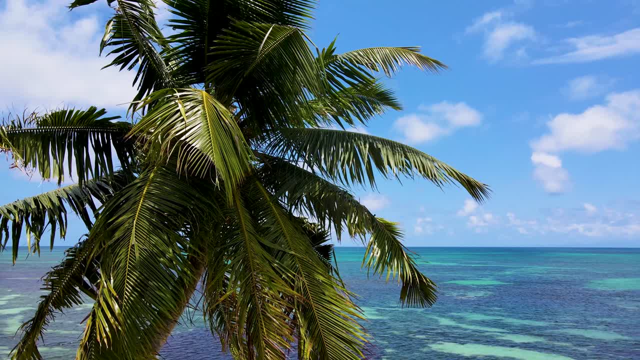 Seychellit Praslin Palmu Ilmakuva Dronella1.mp4