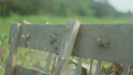 a wooden rustic fence with a few green leaves growing out of it